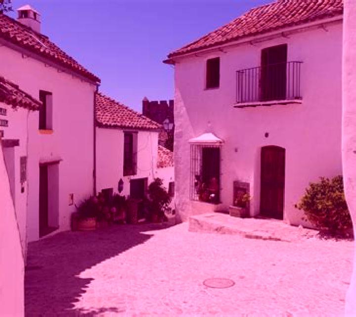 Rocío Castellar de la Frontera escort