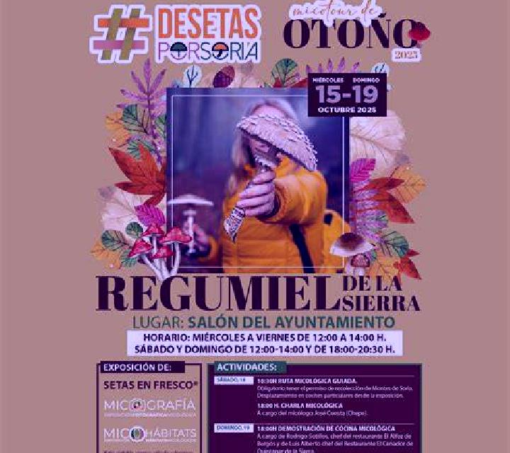 Rosa 3 Campillo de Duenas escort