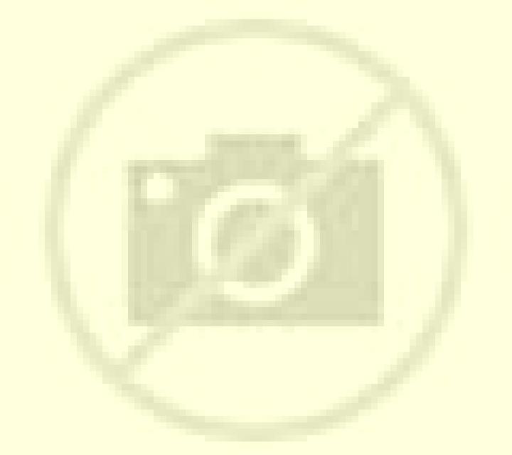 Rosa 3 San Fernando escort