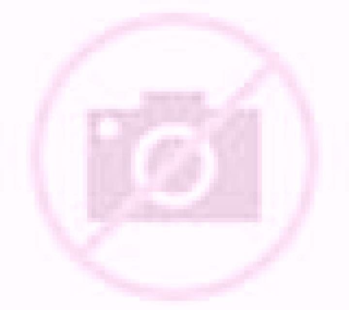 Rosa Abanto escort