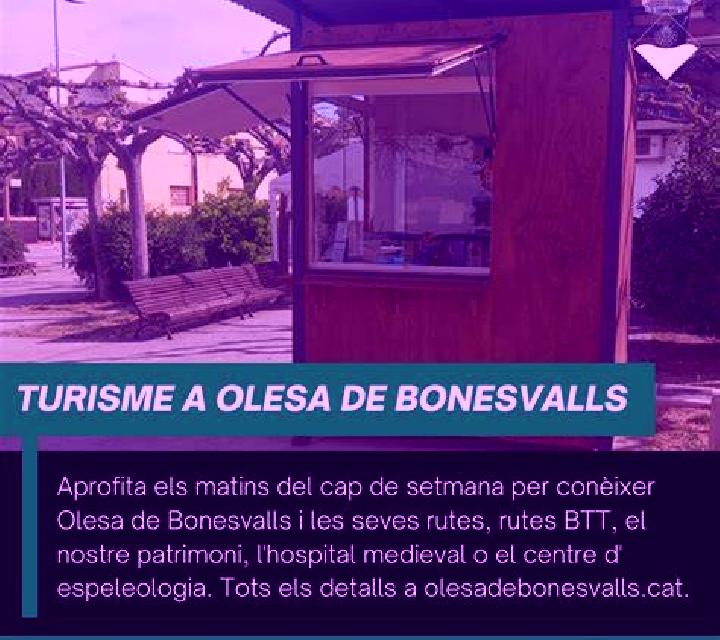Rosa Ceinos de Campos escort
