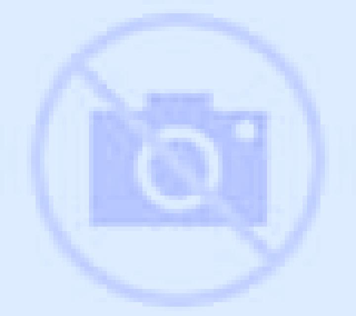Rosa Mieres escort