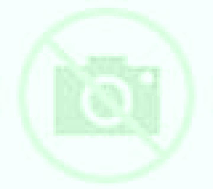 Salma 3 Alozaina escort