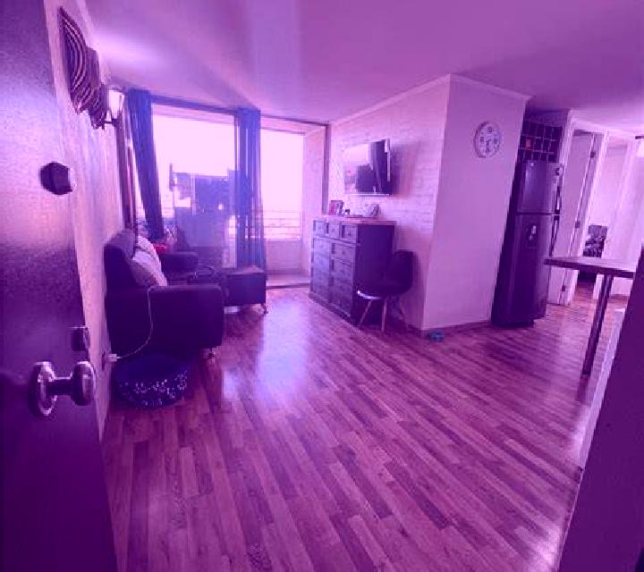 Sara Palenciana escort