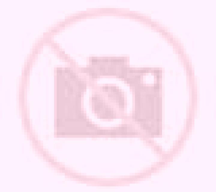 Selene 3 Barlovento escort