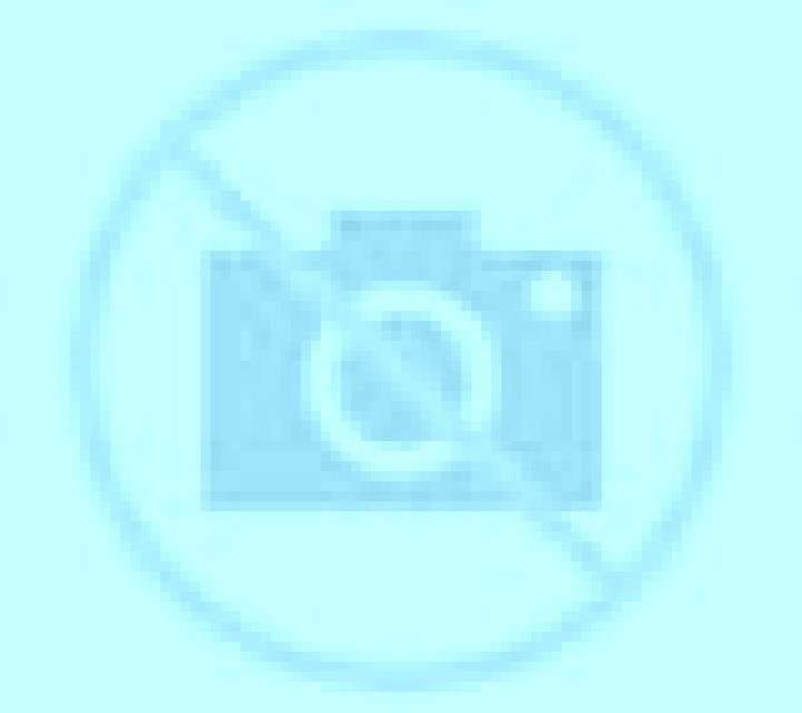 Selene Pantoja escort