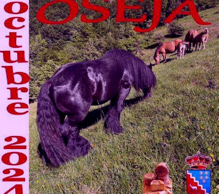 Sofía 2 Beseit / Beceite escort