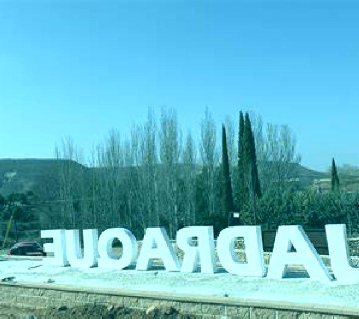 Sofía Albaida escort
