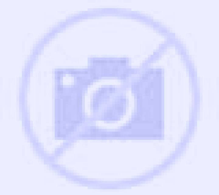 Vega 2 Adalia escort