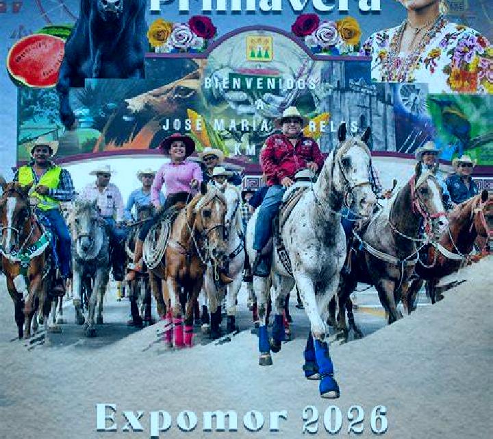 Vega Belinchon escort