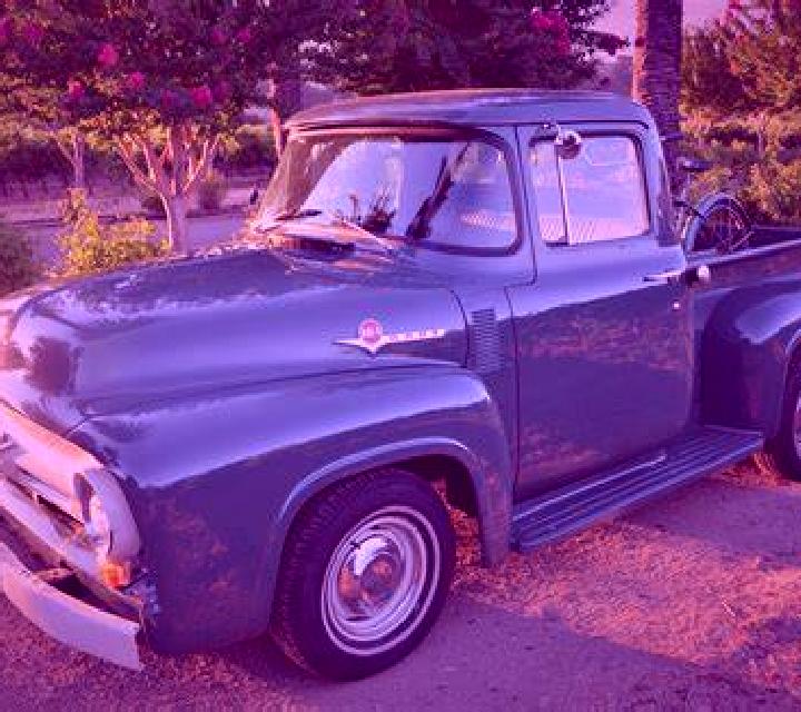 Vega Gudar escort