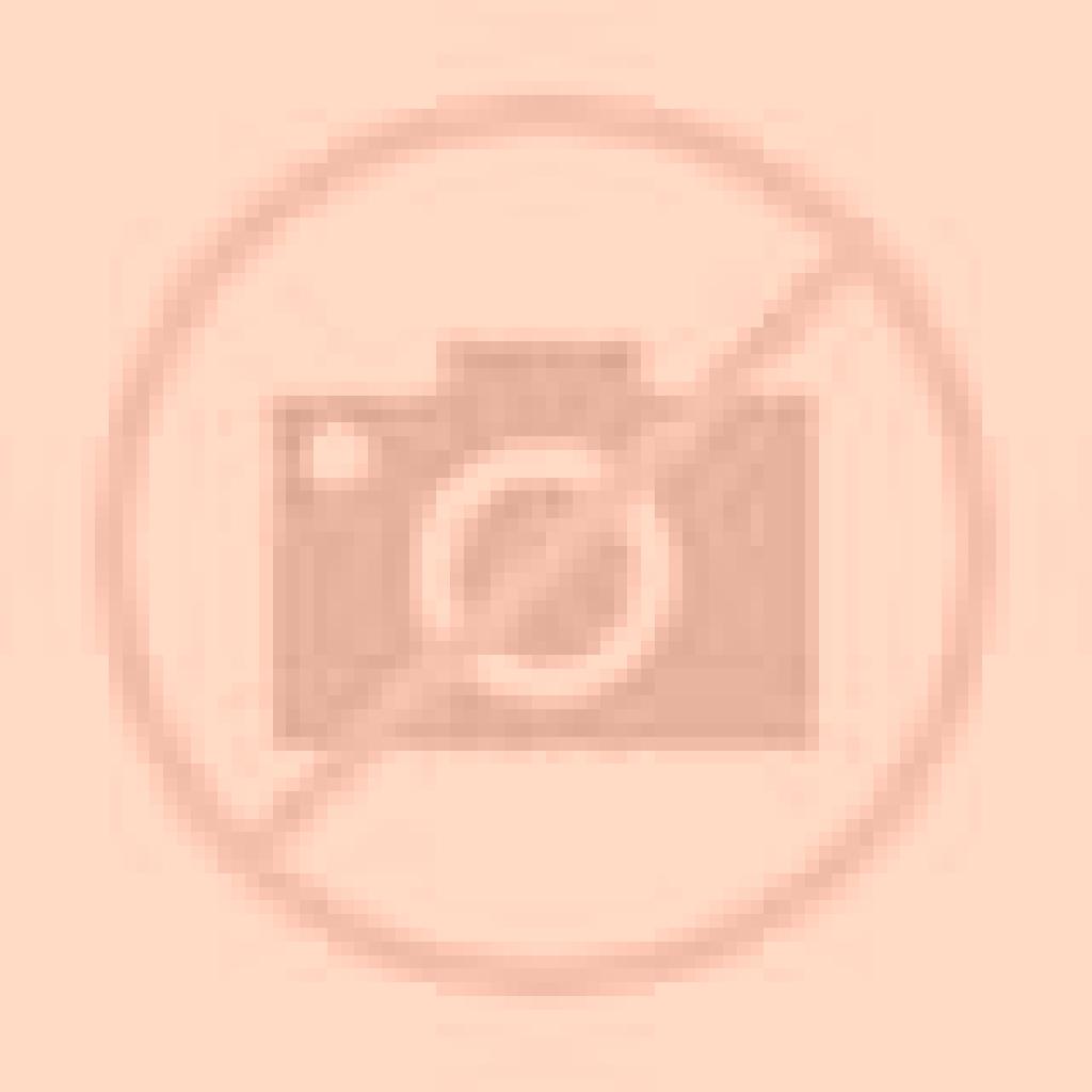 Vega Torrecuadradilla escort