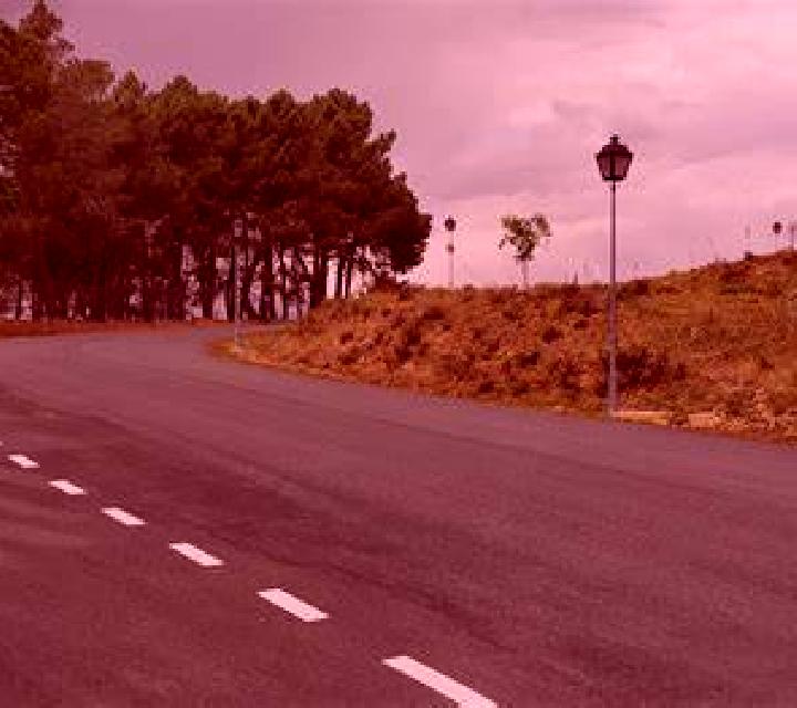 Vega Torreorgaz escort
