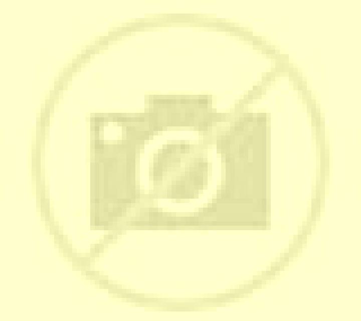 Vega Valga escort