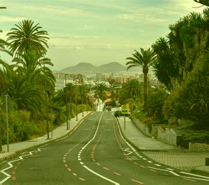 Vega Yemeda escort