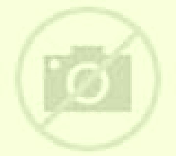 Yasmin 3 Ballesteros escort