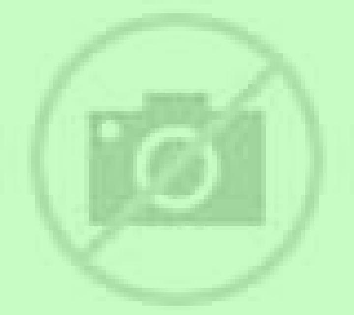 Yasmin Alcoceber escort