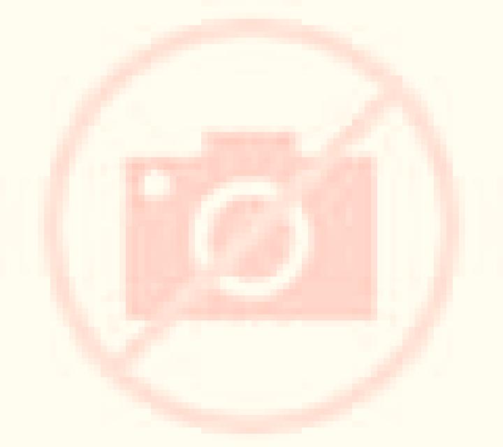 Yasmin Carrias escort