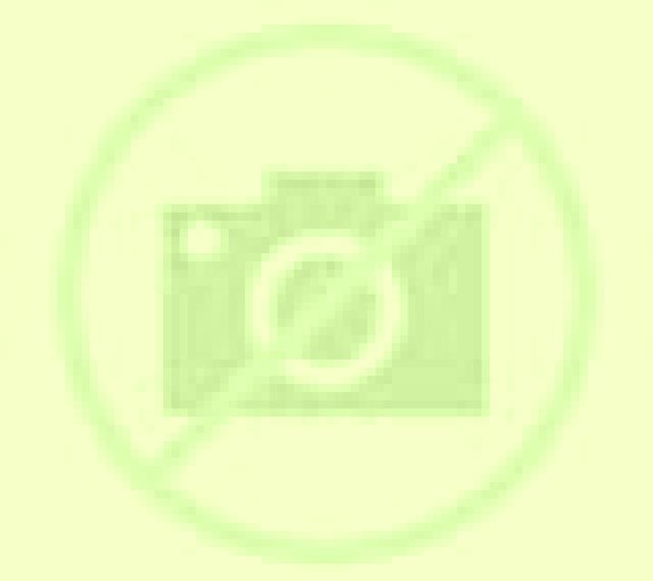 Zara 2 Lora de Estepa escort