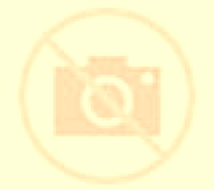 Zara 3 El Casar escort