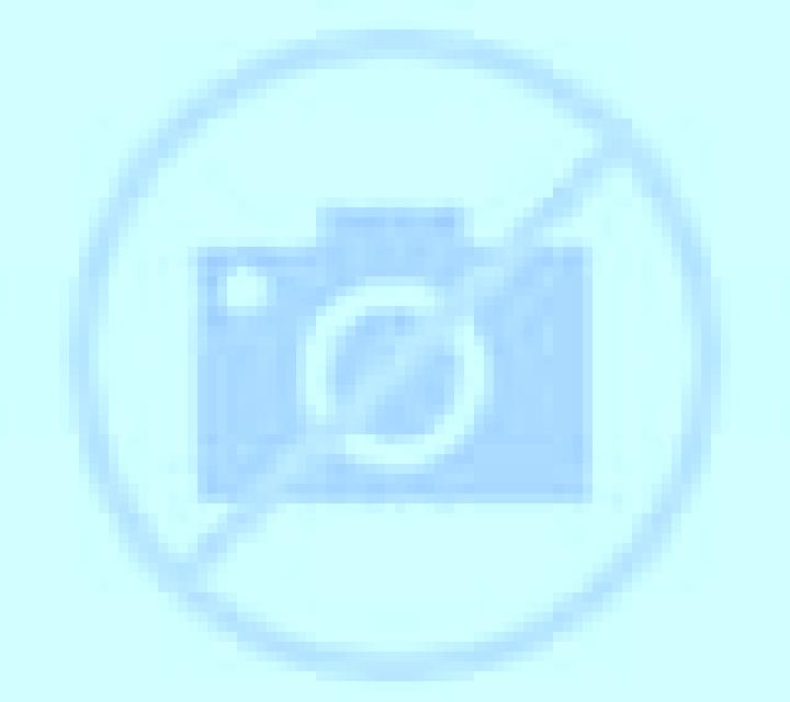 Zara 3 Olmillos de Castro escort